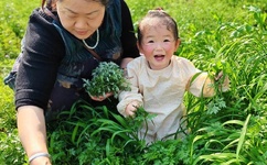 王钟瑶事件5分37秒是真的吗